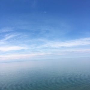 Meet your Posher, Tess